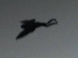 pixelated image of mothman flying in the night sky